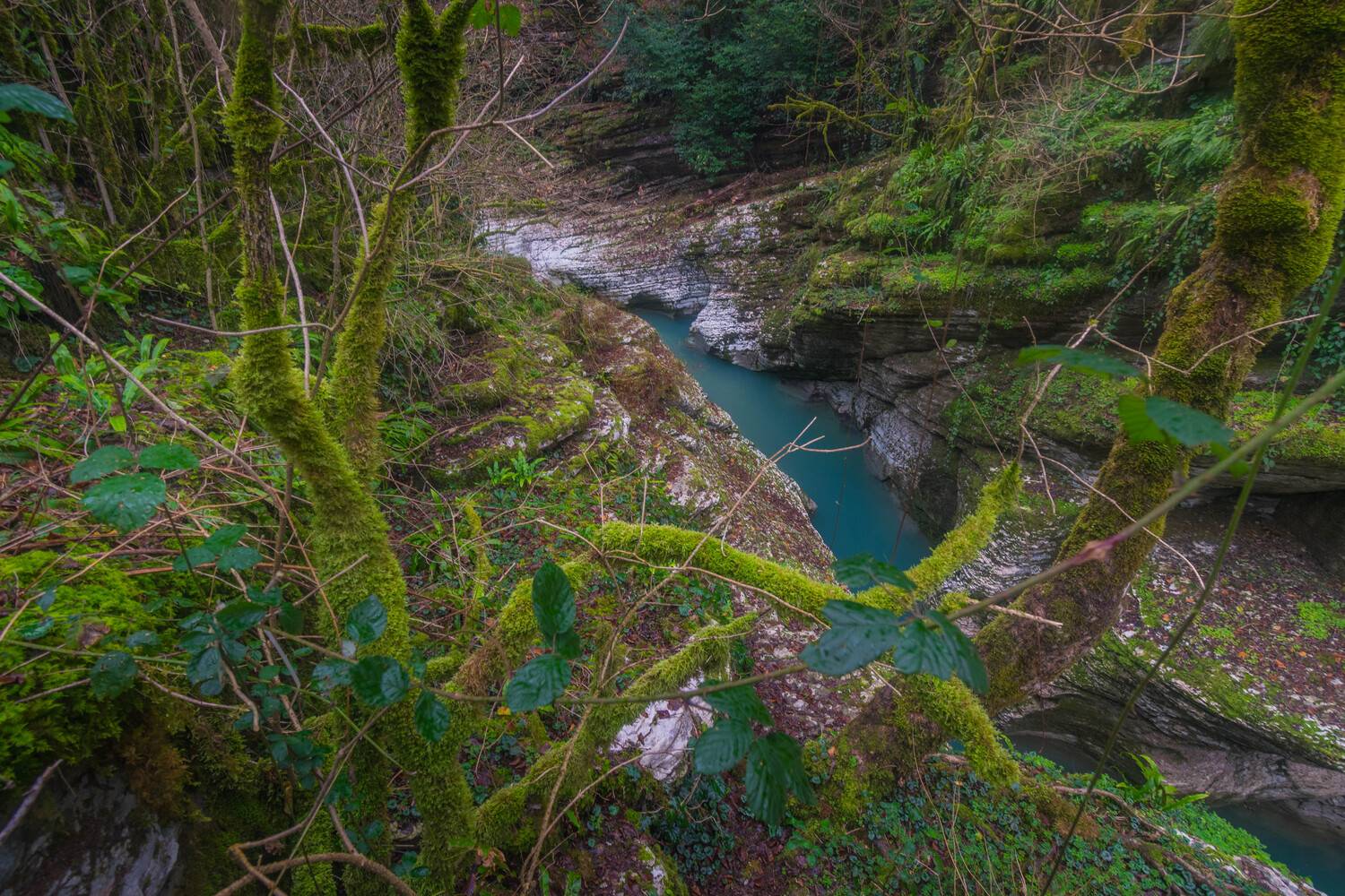 Зимний каньон Псахо