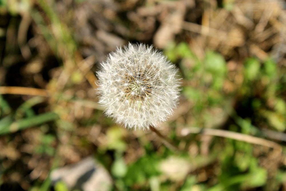 Photograph by София Лаврентьева