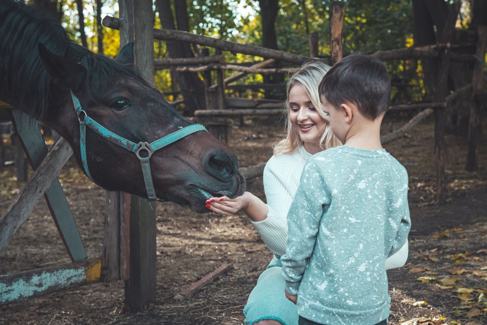 Фотография автора Ольга Тенилова