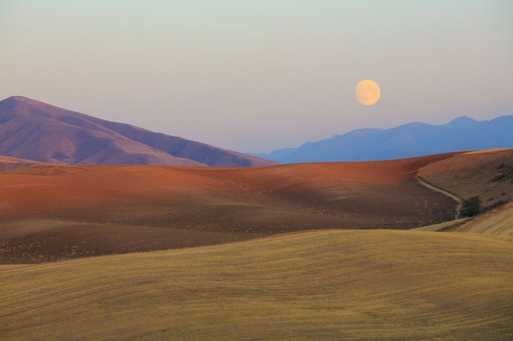 Photograph by Алексей Лазуков