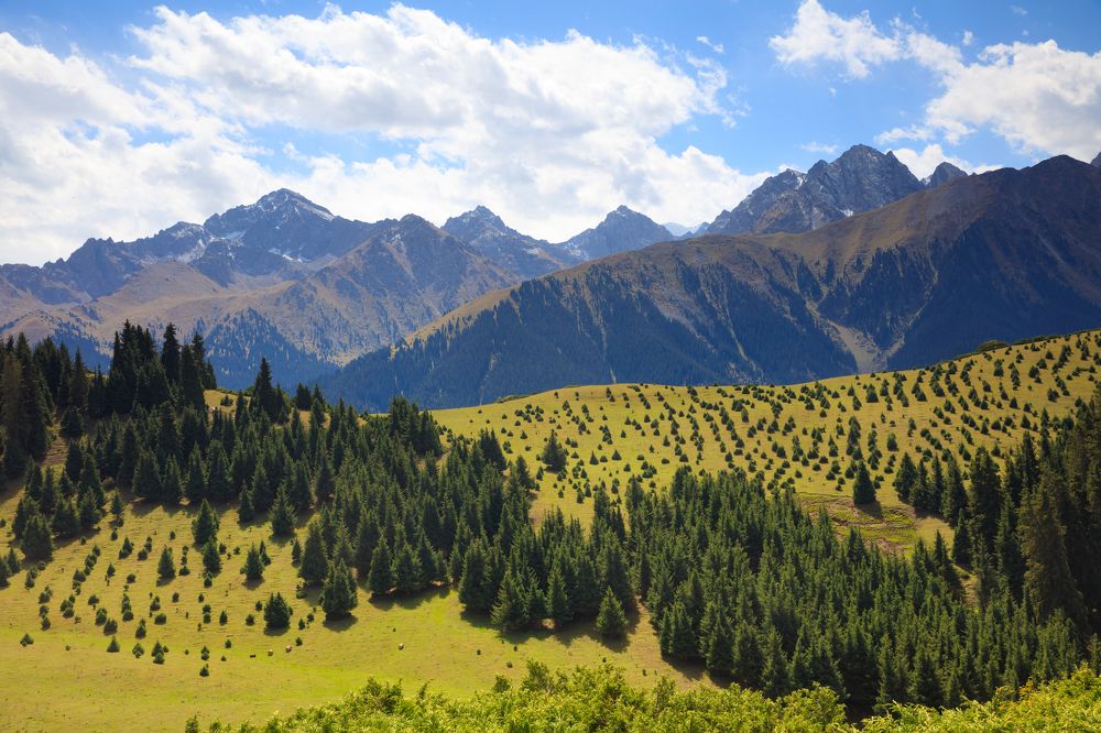 Photograph by Алексей Лазуков