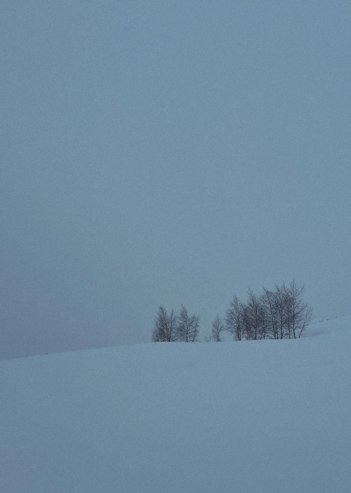 Photograph by Лилия Билалова