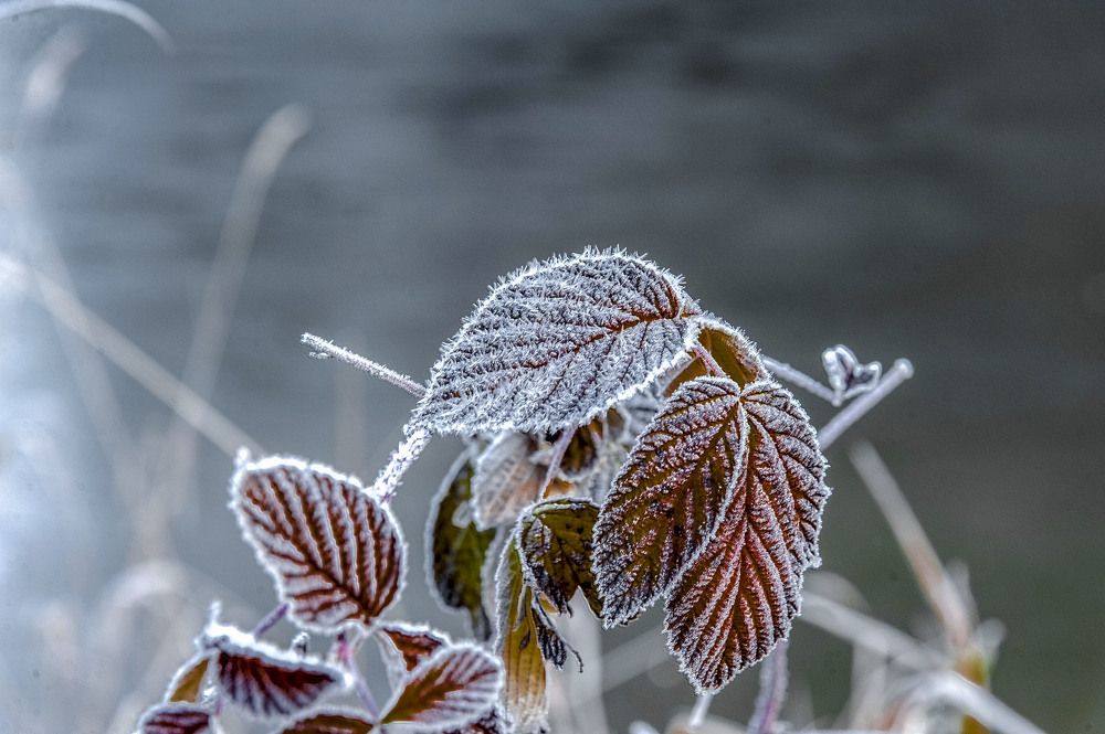 Фотография автора Юрий Кухаришин