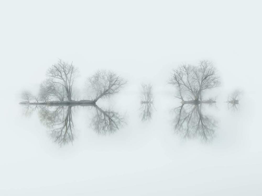 Туманный пейзаж