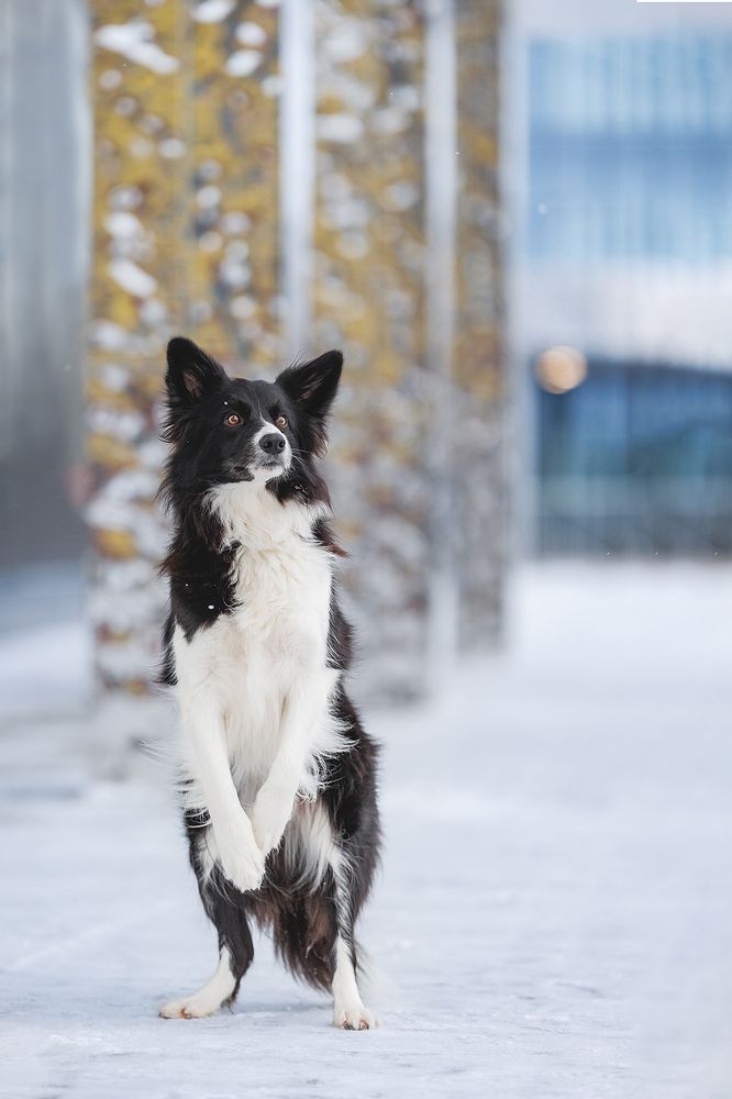 Photograph by Шитиков Владимир