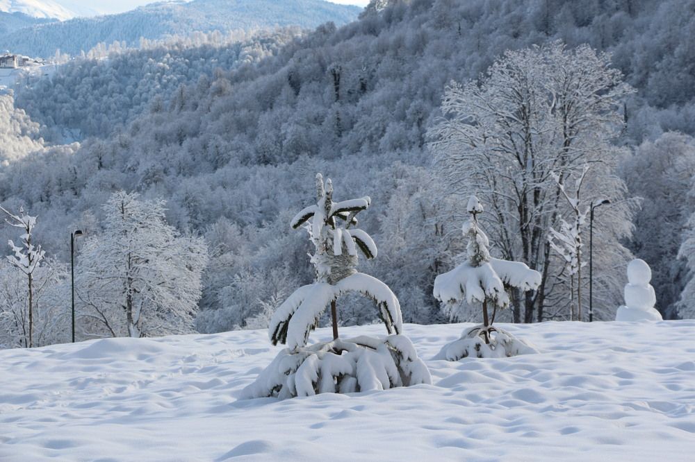 Photograph by Анастасия Бреева