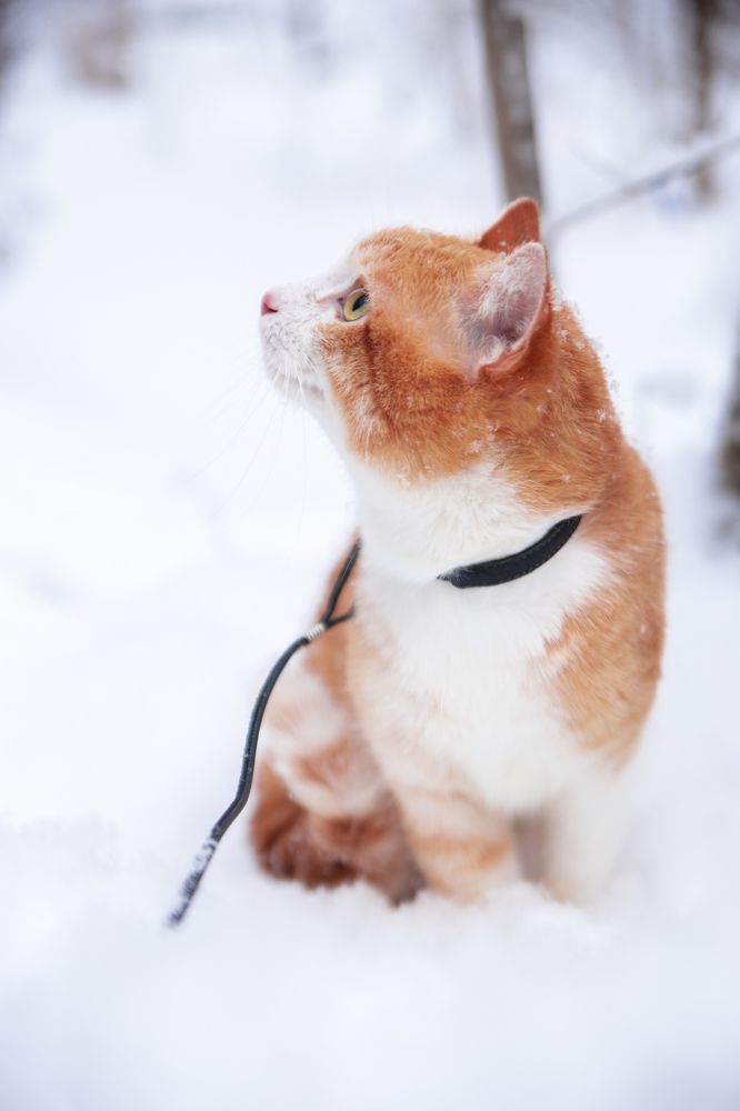 Photograph by Любовь Носова