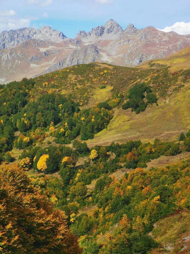 Photograph by Анастасия Бреева