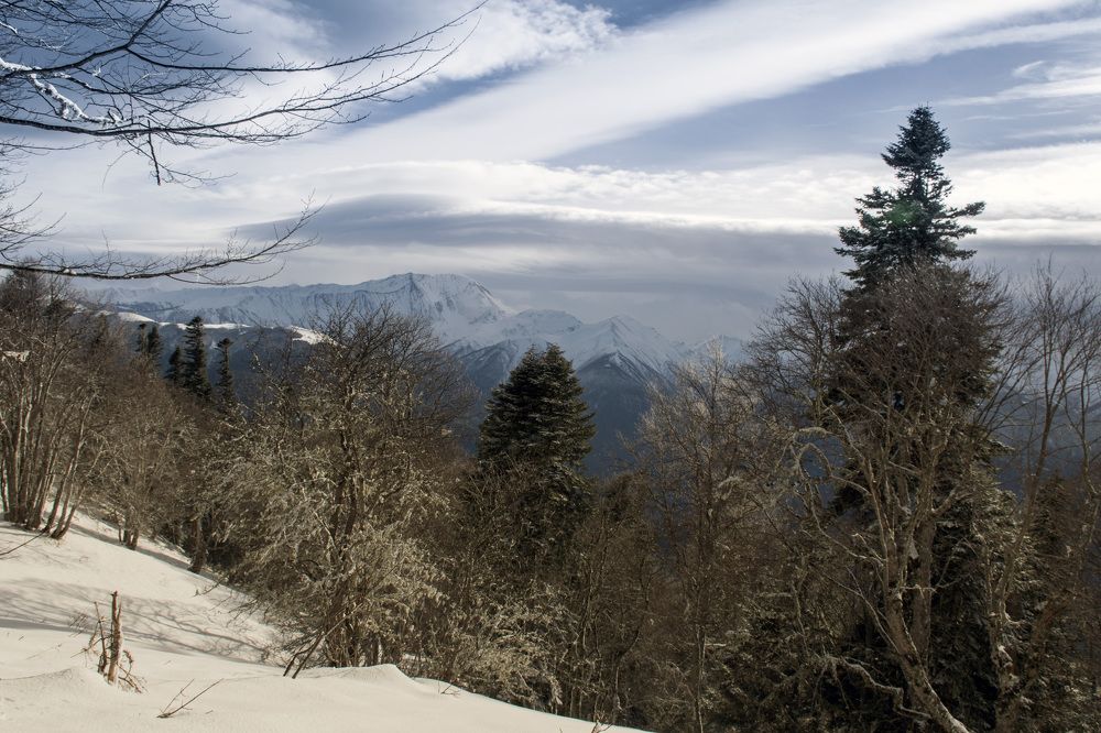 Photograph by Виталий Мартынов