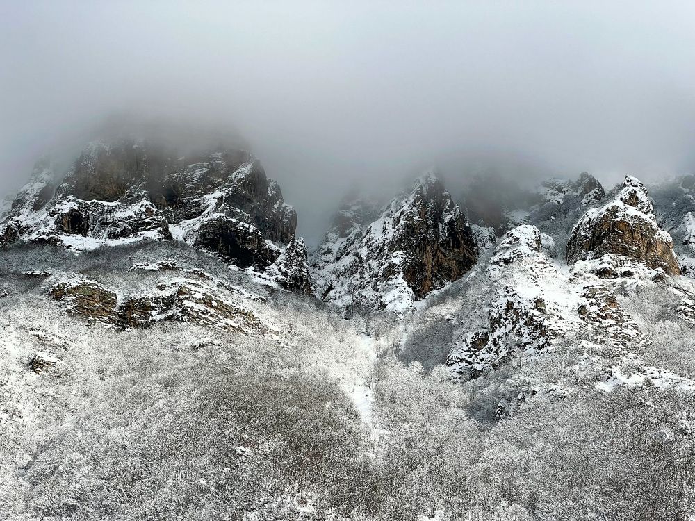 Photograph by roya razaghi