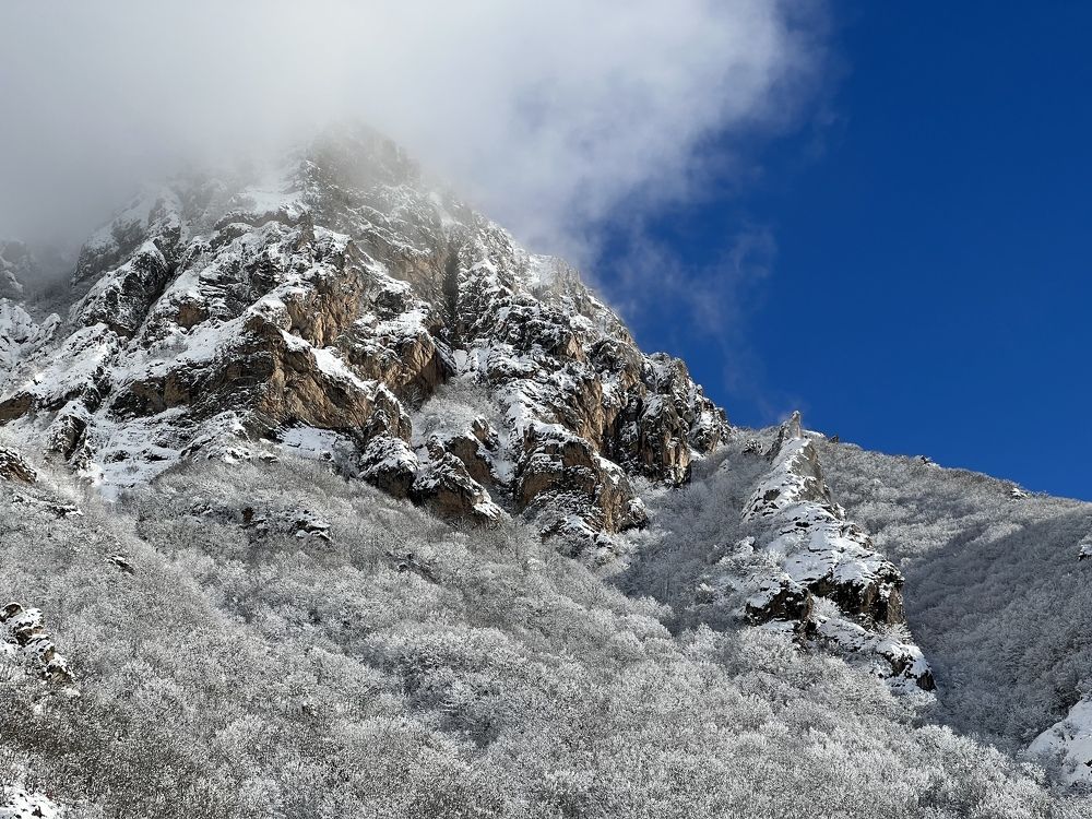 Photograph by roya razaghi