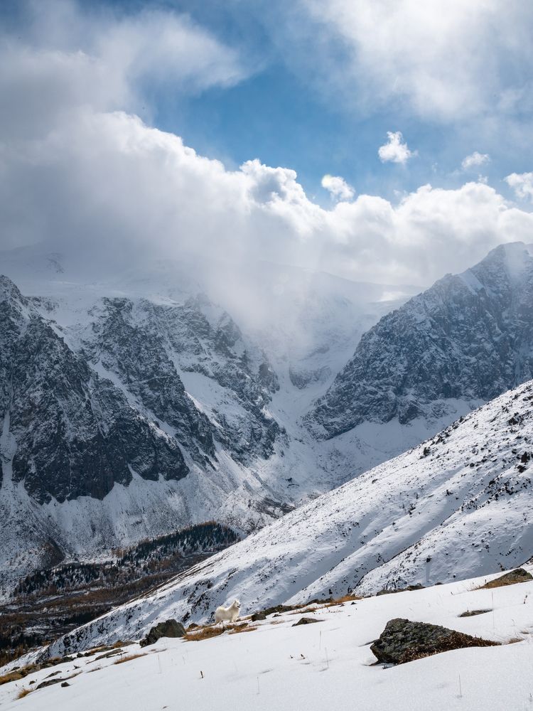 Photograph by Виктория Мишина