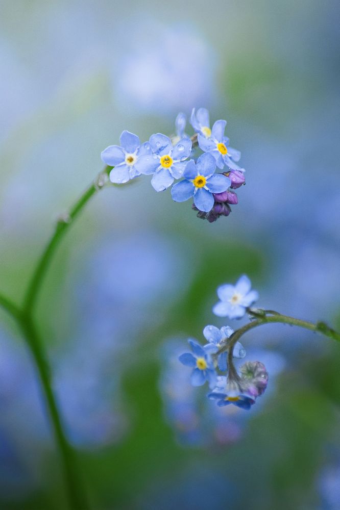 Photograph by FILIP BETKO