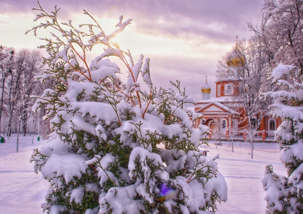 Photograph by Андрей