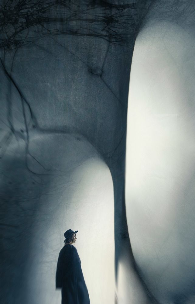 Photograph by Буданова Мария