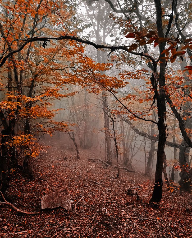 Photograph by Shahrzad Shahrokhi