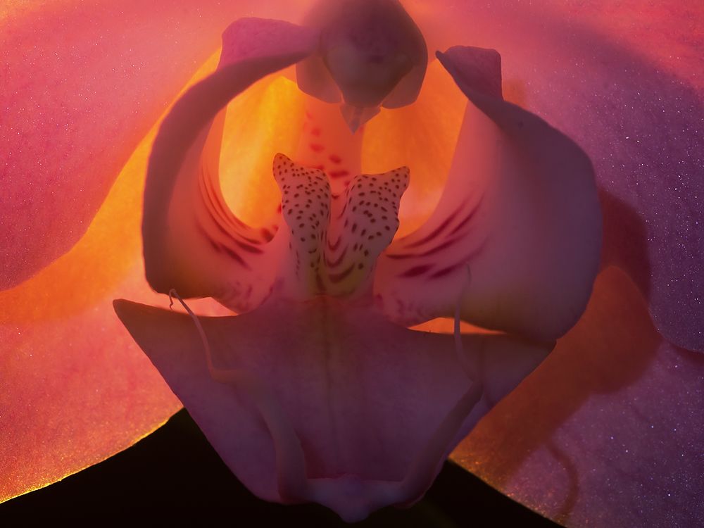 Фотография автора Борис Журавлёв