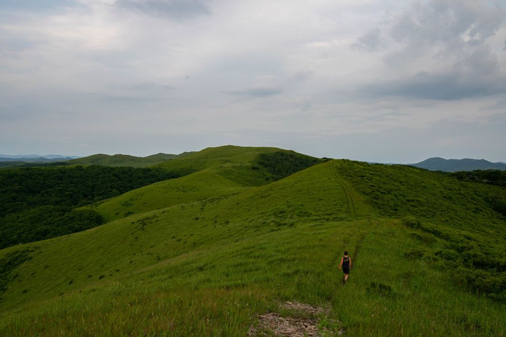 Photograph by Ольга Одинцова