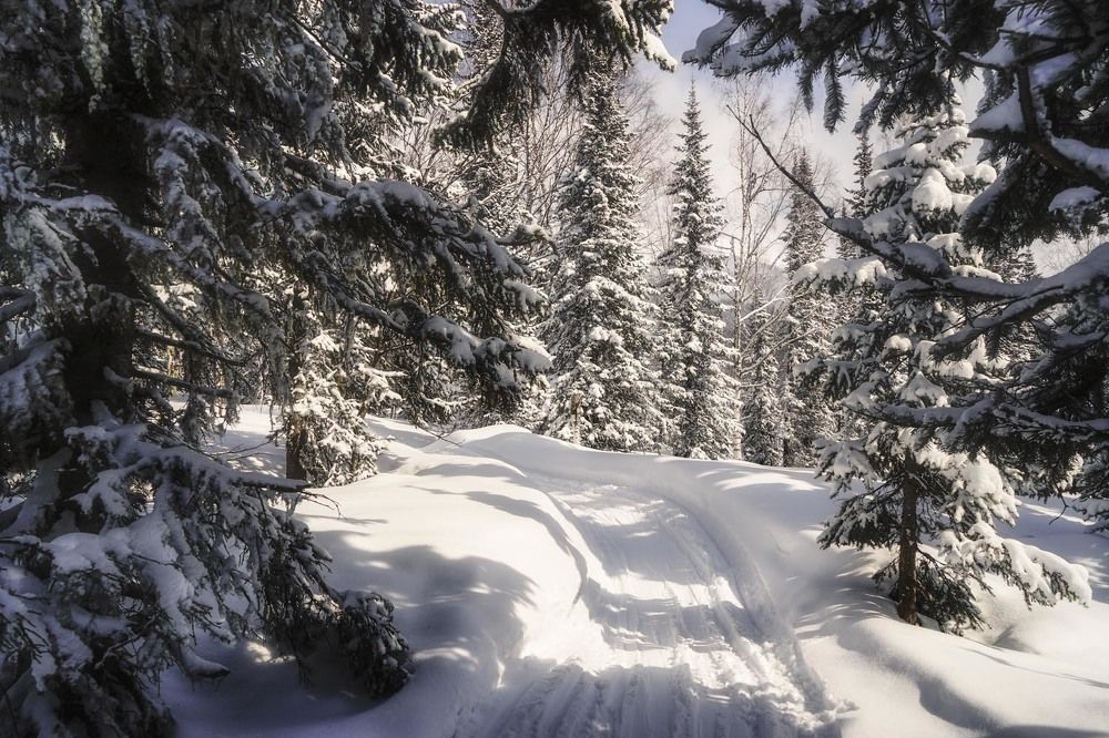 Фотография автора Татьяна Добровольская