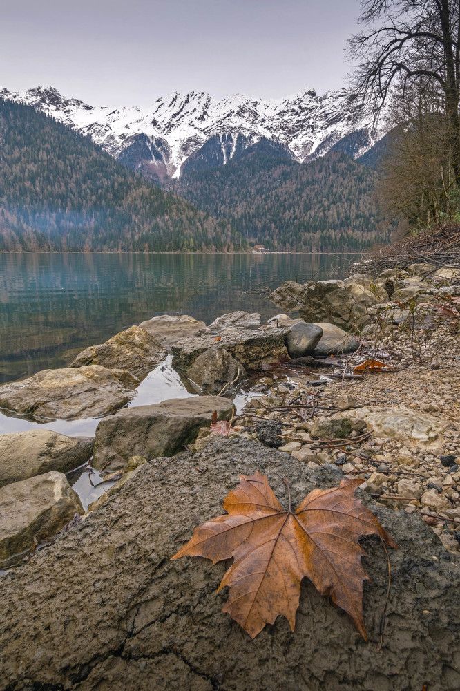 Зима на Рице.