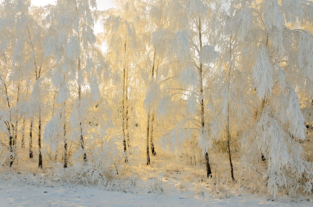 На рассвете