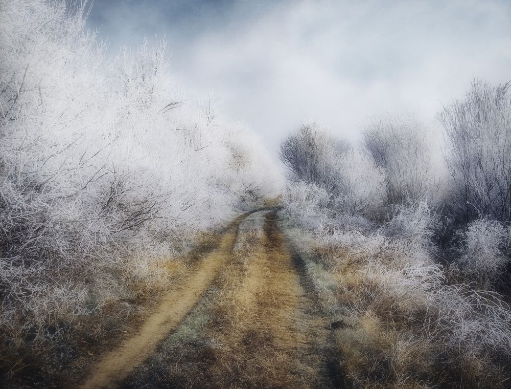 Фотография автора Artemi Artemov