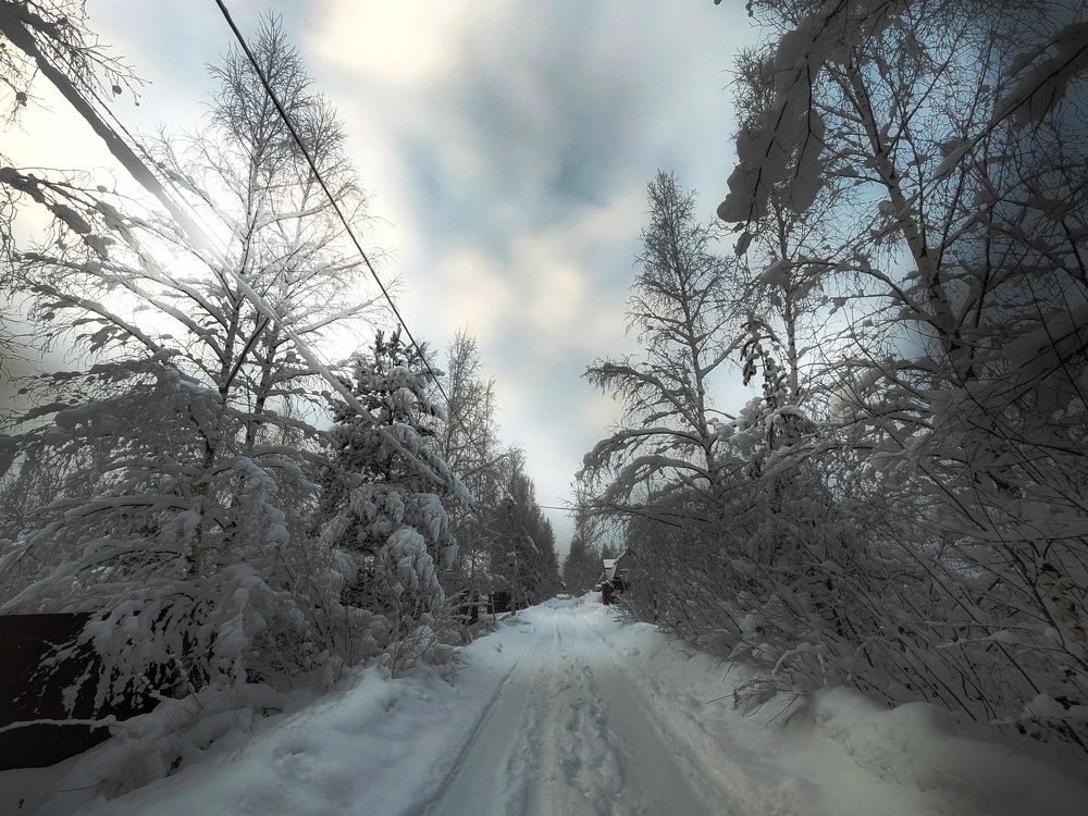 Photograph by Дайана