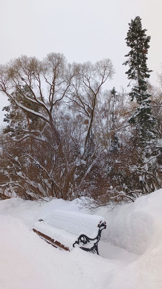 В парке у заснеженной скамьи