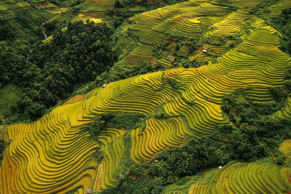 Photograph by Do Thi Thanh Binh