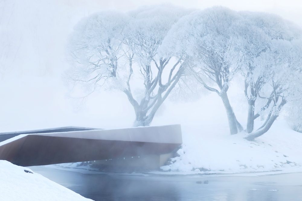 Photograph by Olga Asson