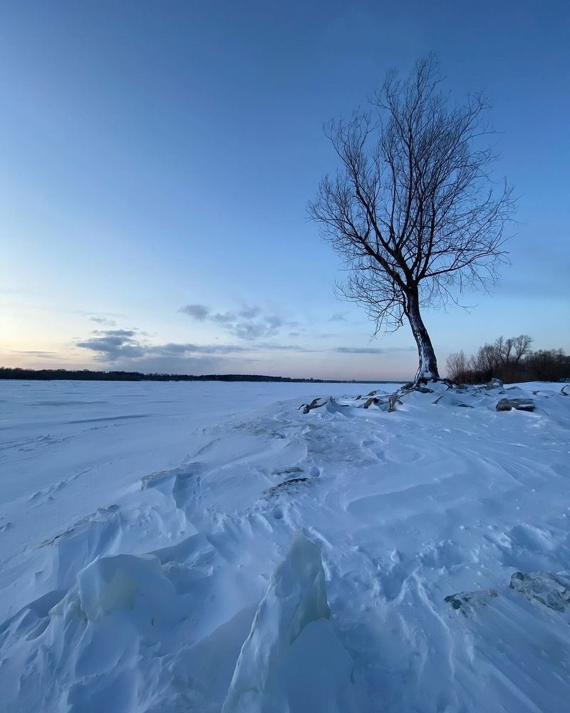 Photograph by Алиса Лукина