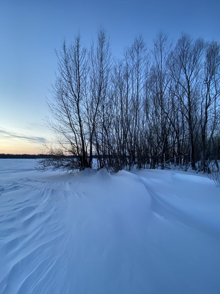 Photograph by Алиса Лукина