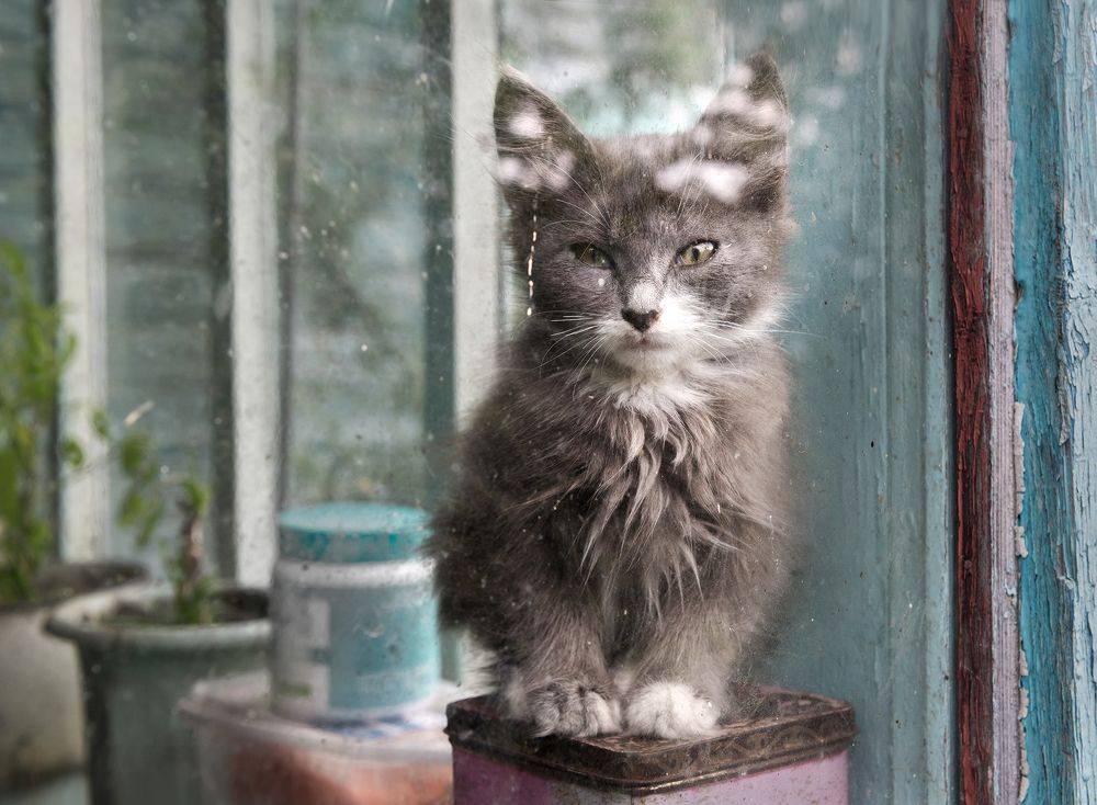 Photograph by Артём Гладченко