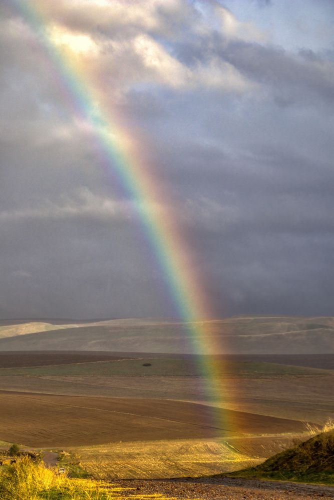 Радуга в декабре
