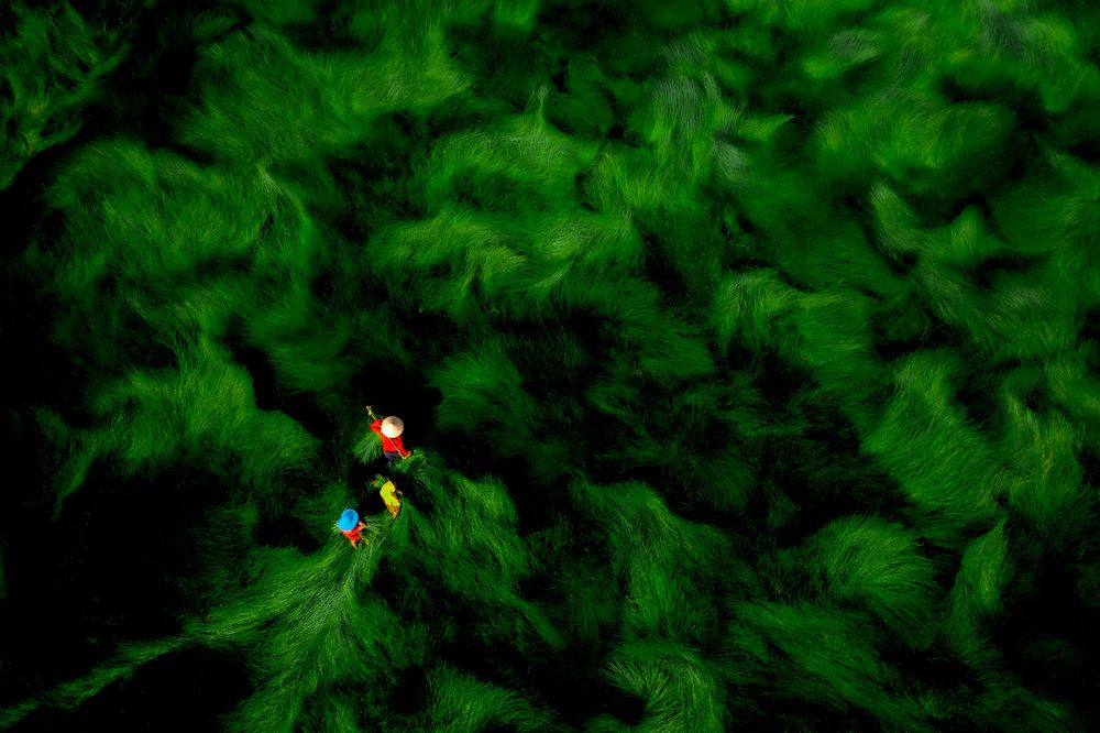 Photograph by Minh Tú Nguyễn