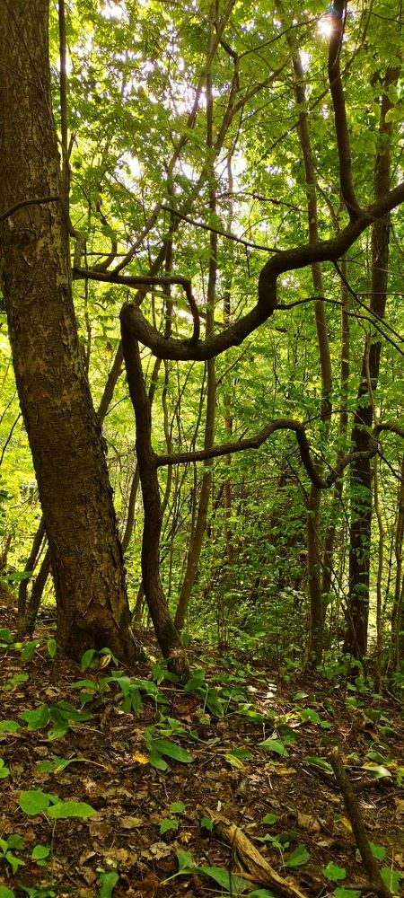 Photograph by Александр Соколов