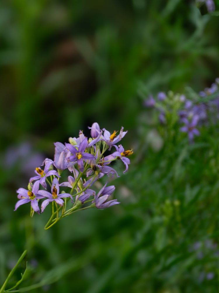 Photograph by Maria Julieta ZURZOLO