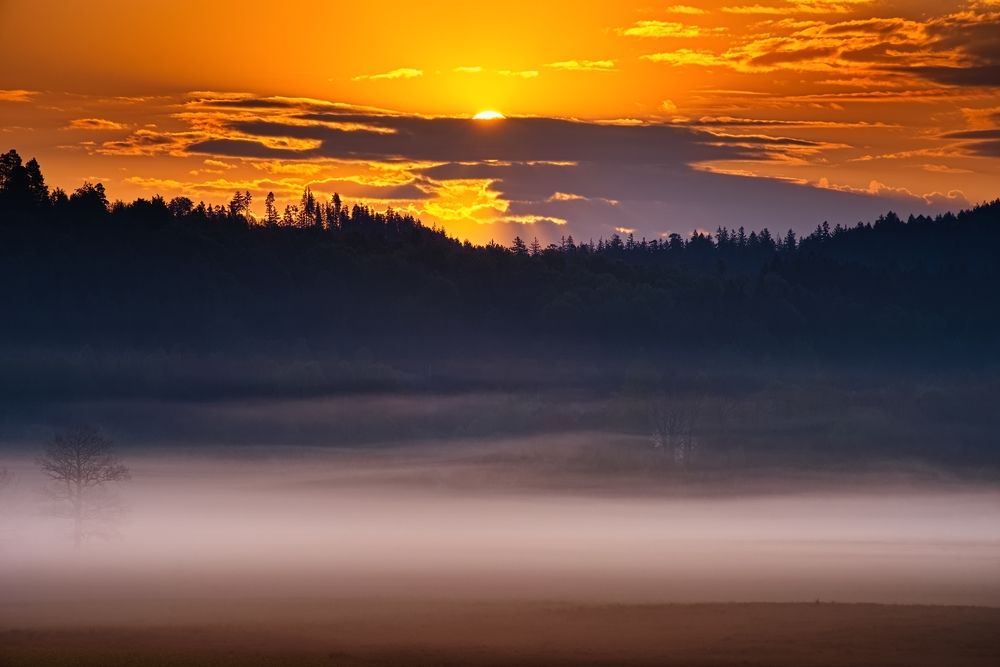 Photograph by Wydmuch Maciej