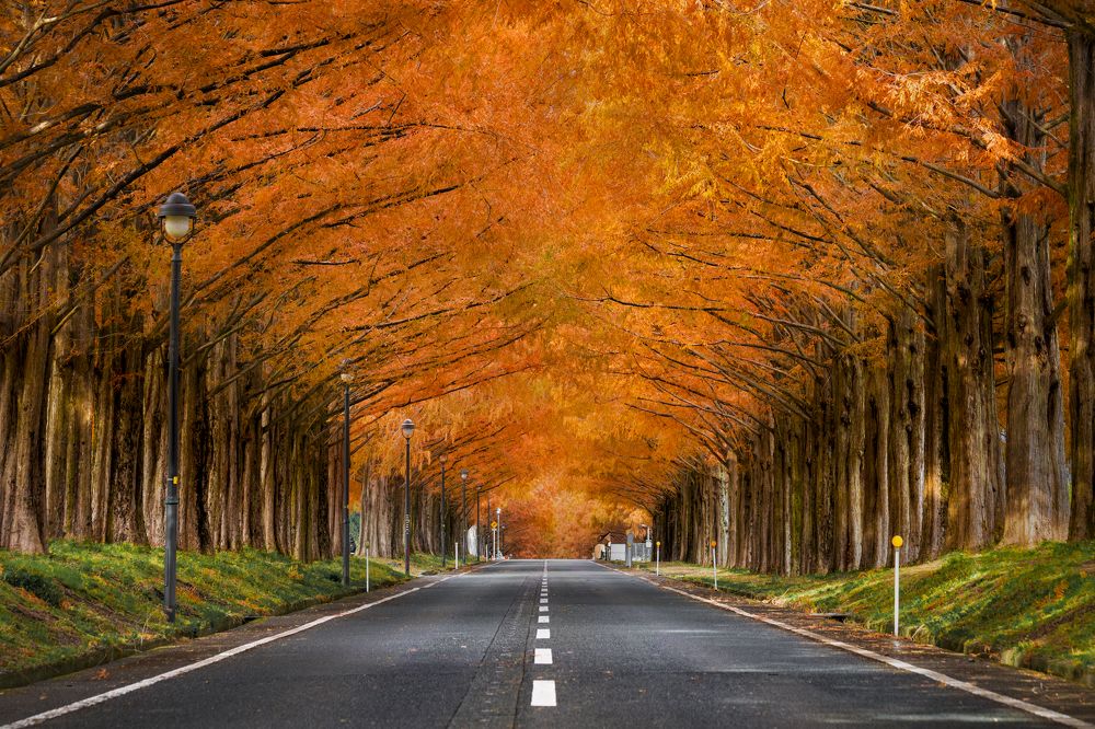 Photograph by Hoang Minh Khuong