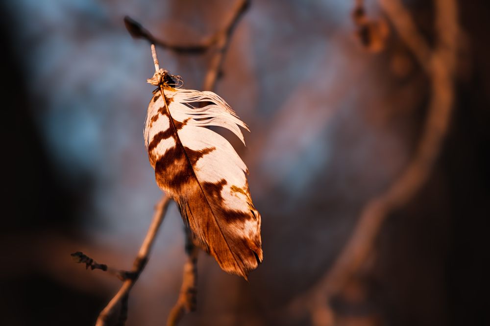 Photograph by Kostantin Belonogov