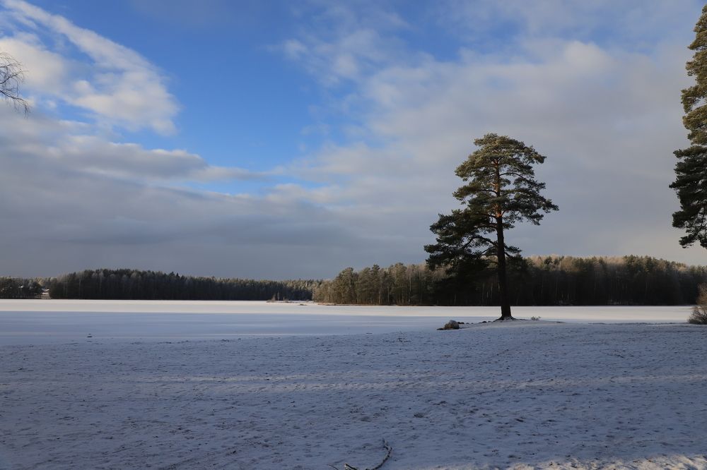 Photograph by Юлия Яковлева