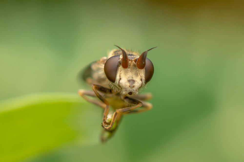 Фотография автора Nikolay Tatarchuk