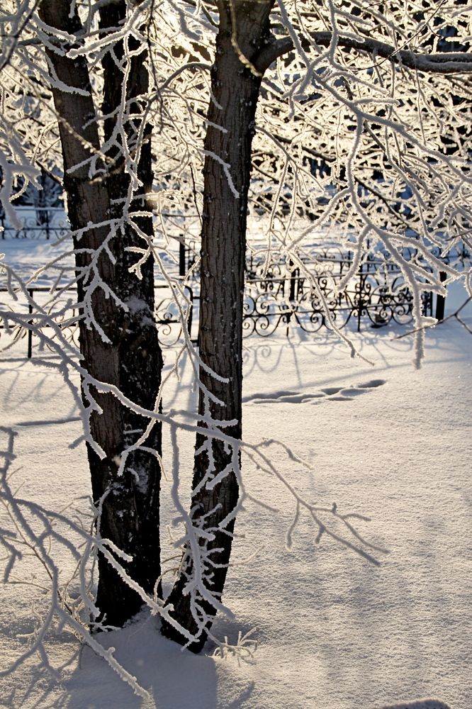 Photograph by Марина Ильева