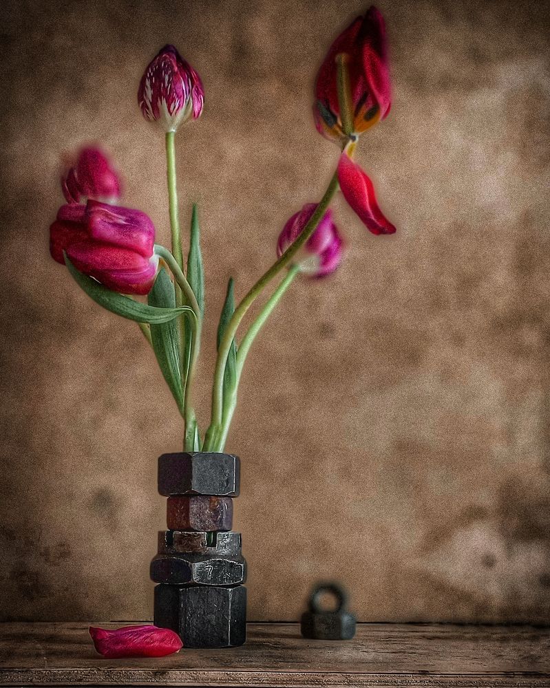 Photograph by Люда Яковлева