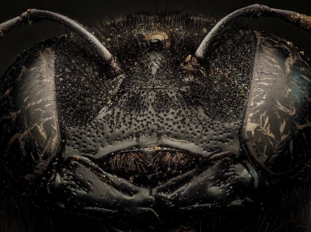 Photograph by Talha Maqsood