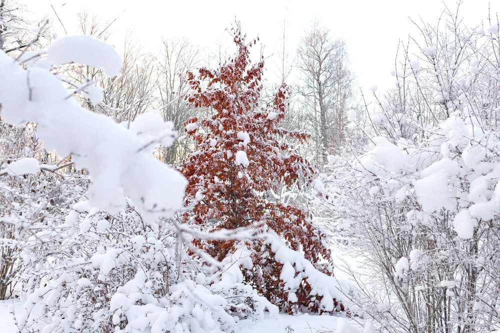 Photograph by Olga Smirnova