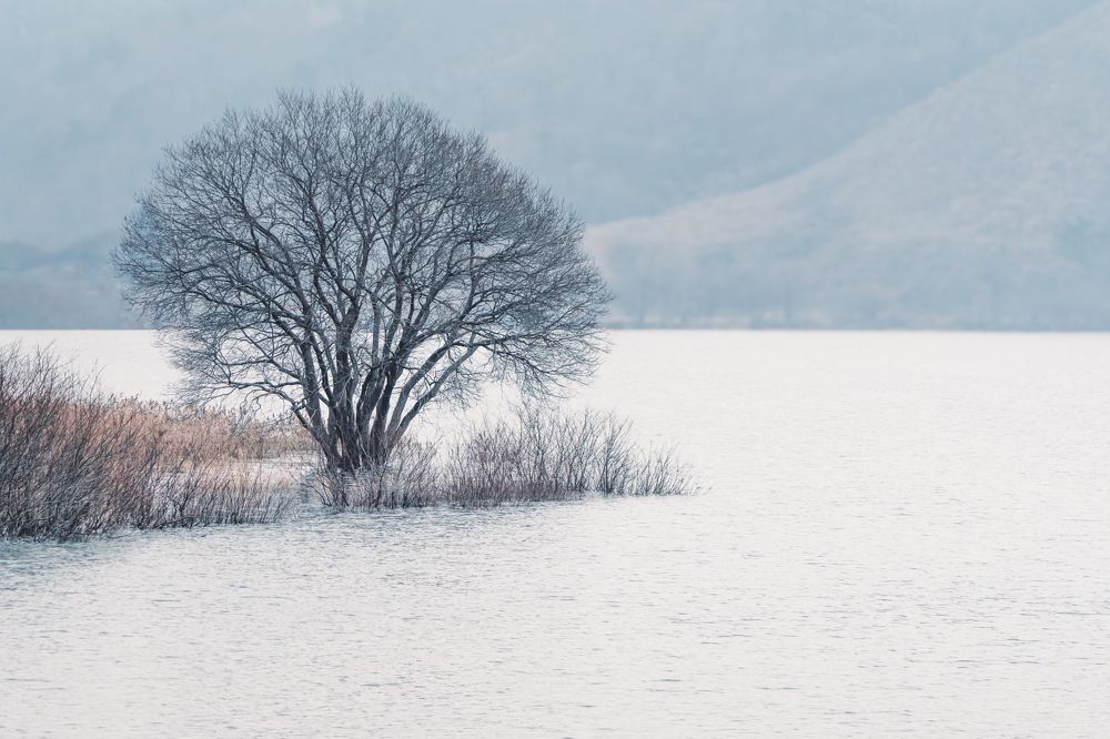 Photograph by Yongseok Chun