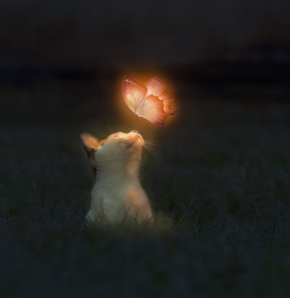 Photograph by Natalia Bolotenkova