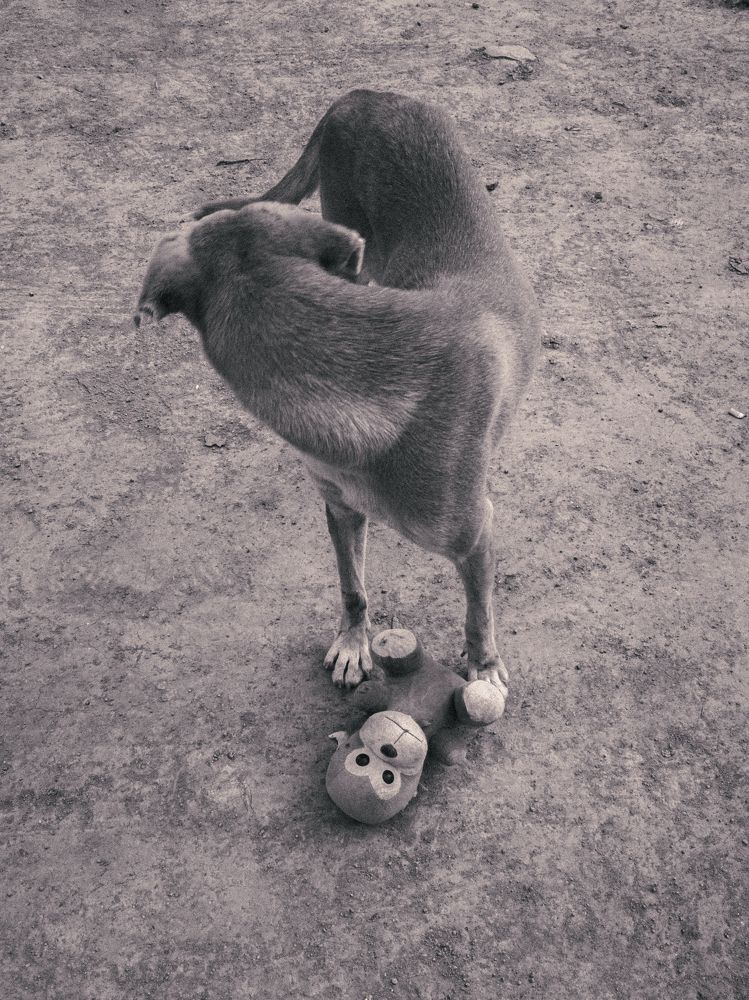 Photograph by Premkumar Karwar