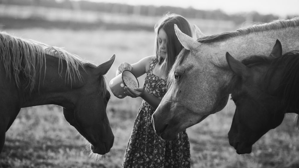 Photograph by Александр Стрельчук